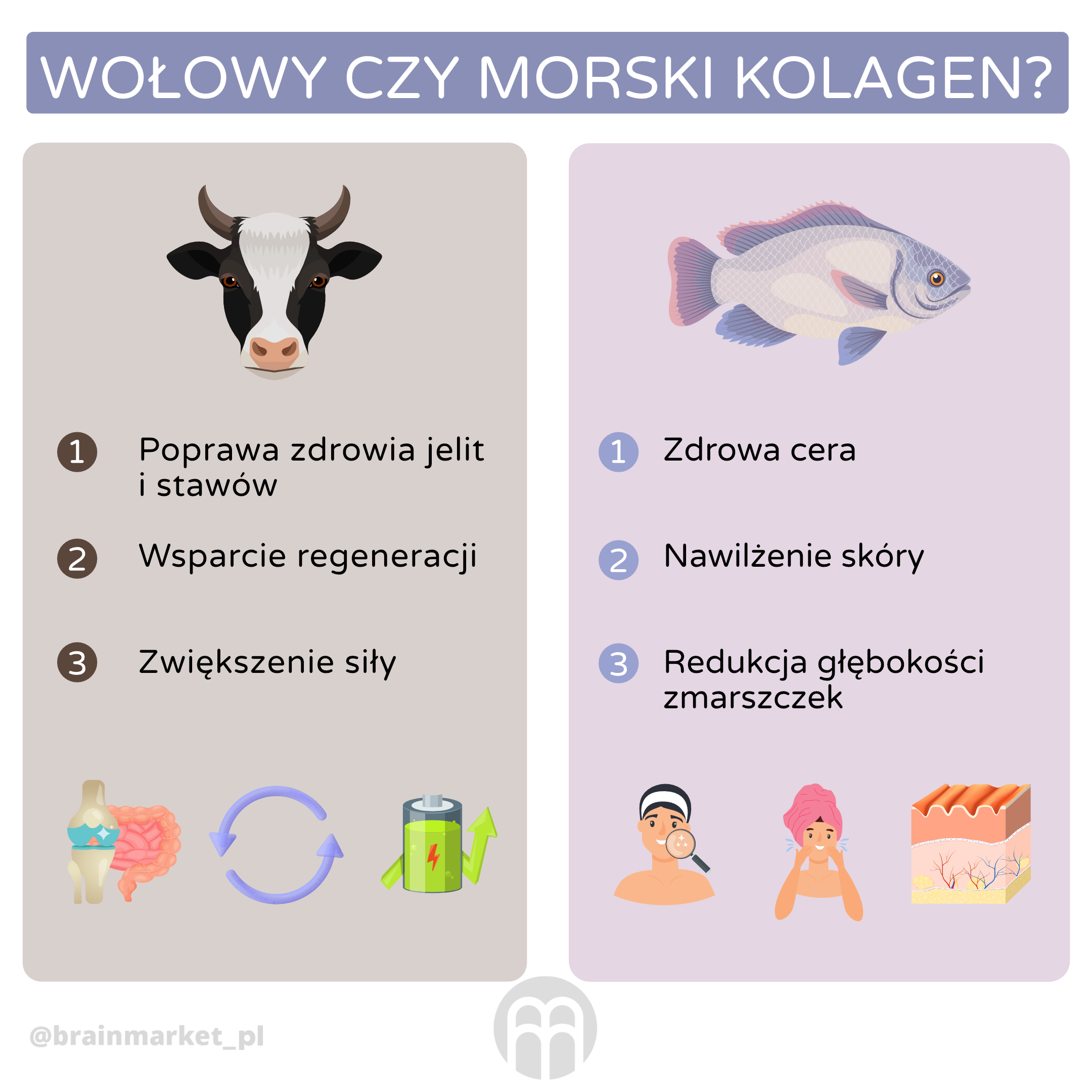 hovezi nebo morsky kolagen_infografika3_pl